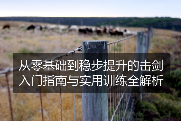 从零基础到稳步提升的击剑入门指南与实用训练全解析