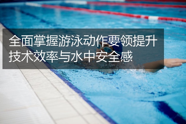 全面掌握游泳动作要领提升技术效率与水中安全感