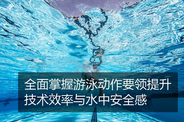 全面掌握游泳动作要领提升技术效率与水中安全感