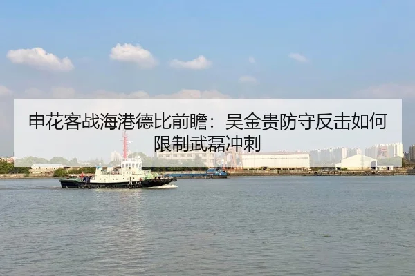 申花客战海港德比前瞻：吴金贵防守反击如何限制武磊冲刺
